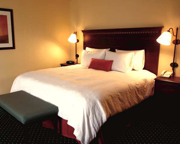 Hampton Inn Murphy Rum bild